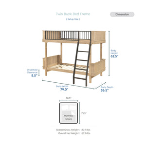 Fina Twin/Twin Bunk Bed