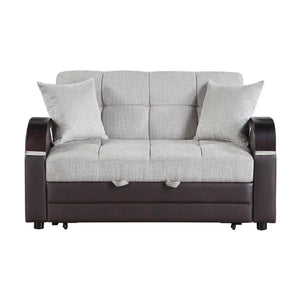 Nora Chenille Loveseat with Pull-Out Bed and Click Motion Back