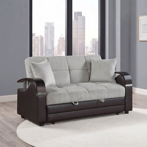 Nora Chenille Loveseat with Pull-Out Bed and Click Motion Back