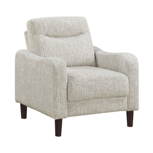 Ellery Chenille Fabric Living Room Chair