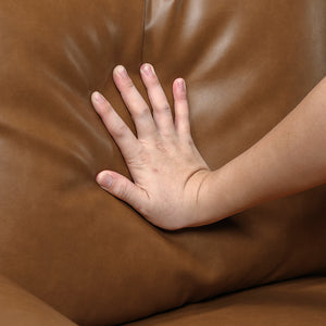 Frances Faux Leather Living Room Chair