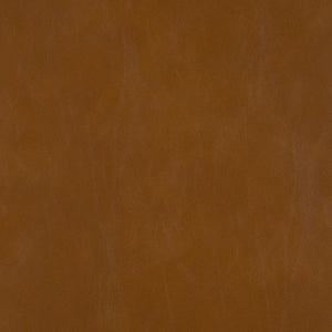 Frances Faux Leather Living Room Chair