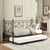 Fain Daybed with Trundle, Metal